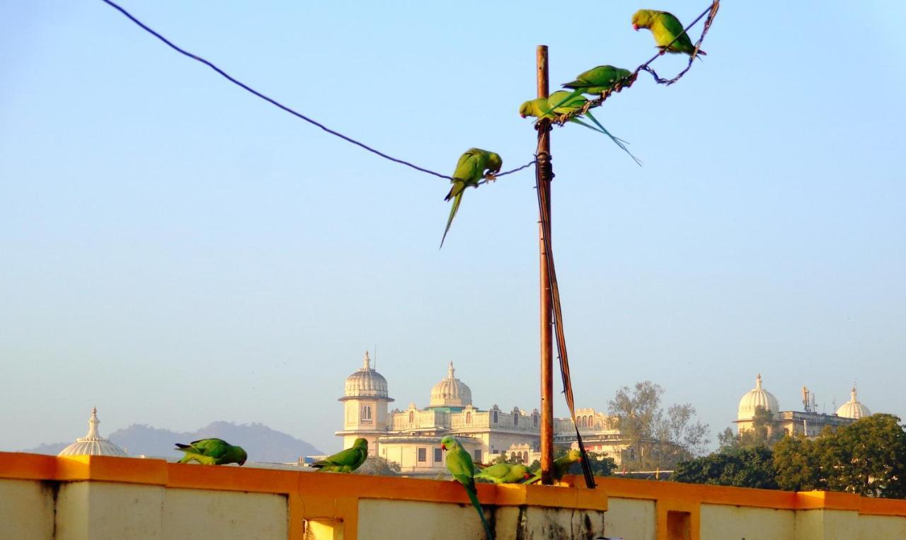 Mohan Villa Guest House Udajpur Exteriér fotografie